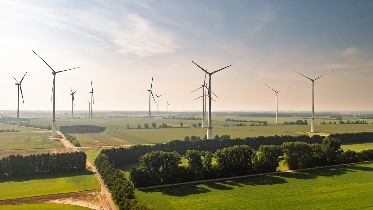 Commercial Construction Services